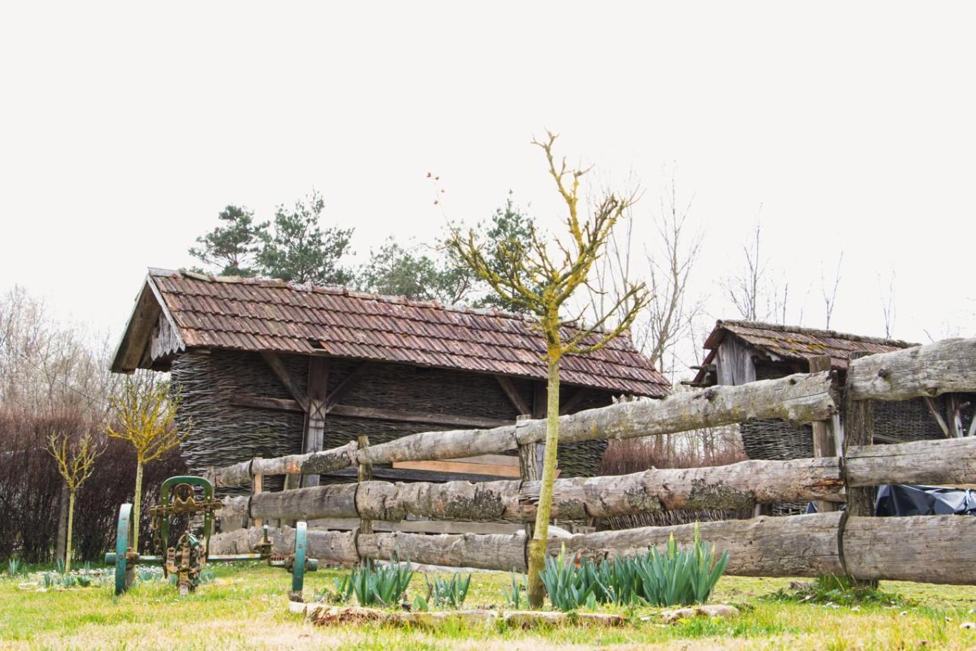 Country House Ivancan Molve Exterior foto