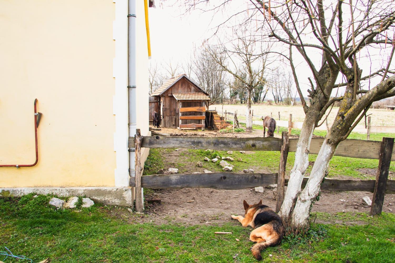 Country House Ivancan Molve Exterior foto