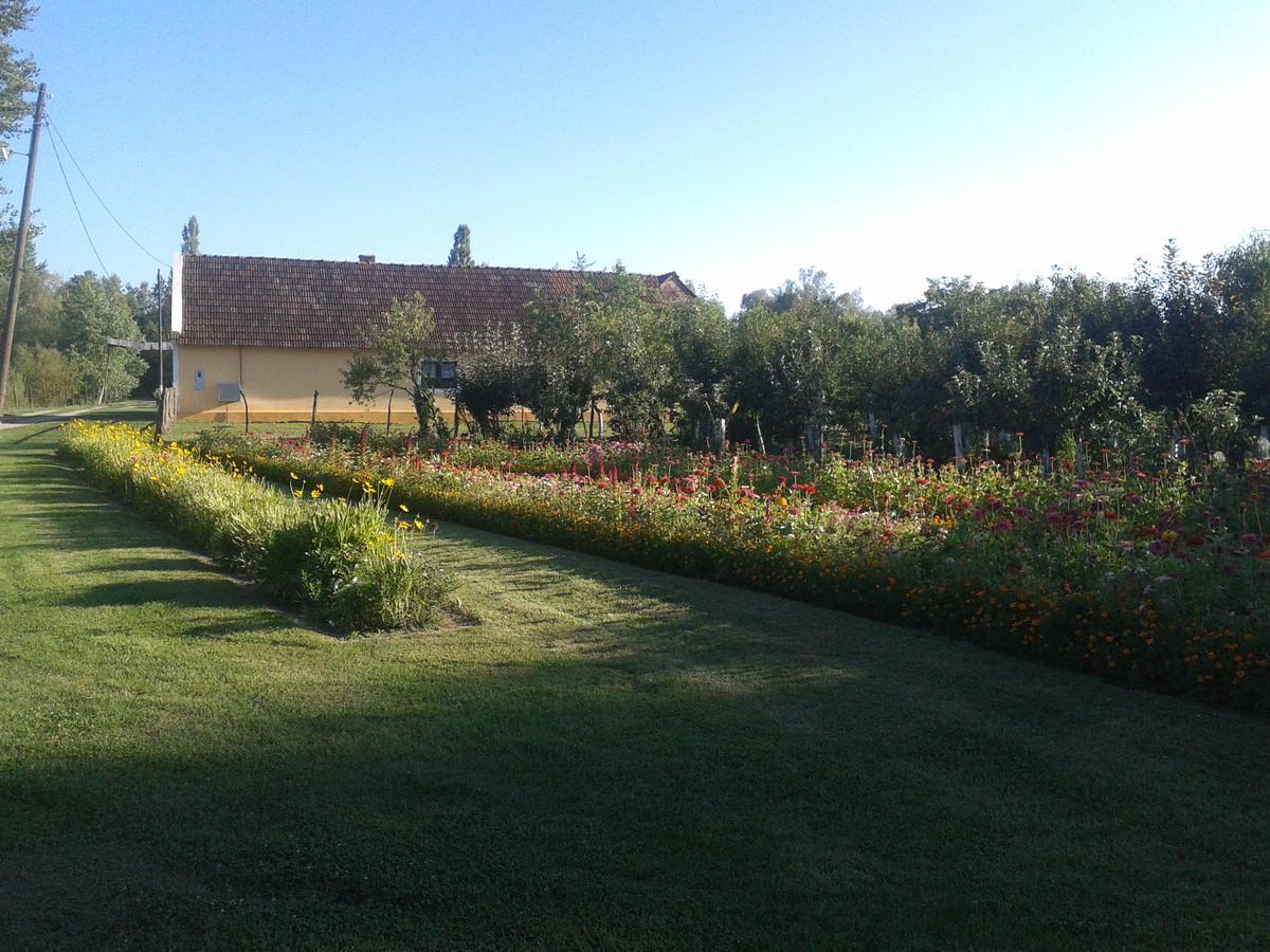 Country House Ivancan Molve Exterior foto